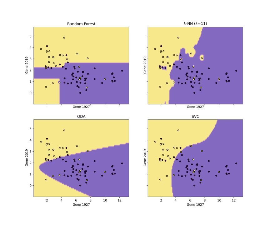 Decision Boundaries